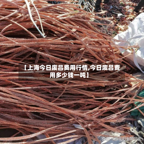 【上海今日废吕费用行情,今日废吕费用多少钱一吨】-第1张图片
