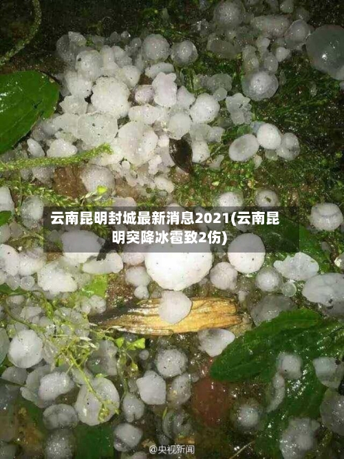 云南昆明封城最新消息2021(云南昆明突降冰雹致2伤)-第3张图片