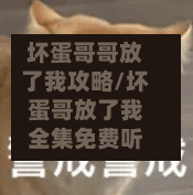 坏蛋哥哥放了我攻略/坏蛋哥放了我全集免费听-第3张图片