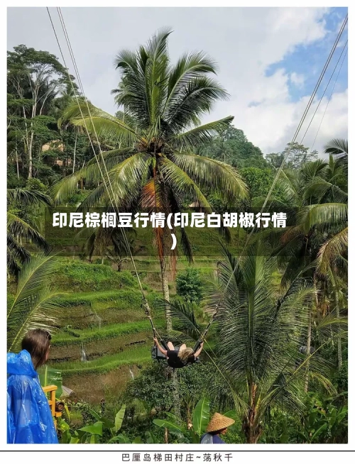 印尼棕榈豆行情(印尼白胡椒行情)-第3张图片