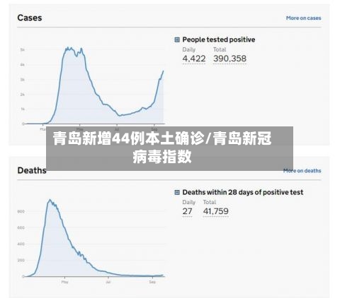 青岛新增44例本土确诊/青岛新冠病毒指数
