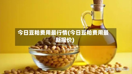 今日豆粕费用最行情(今日豆粕费用最新报价)-第2张图片