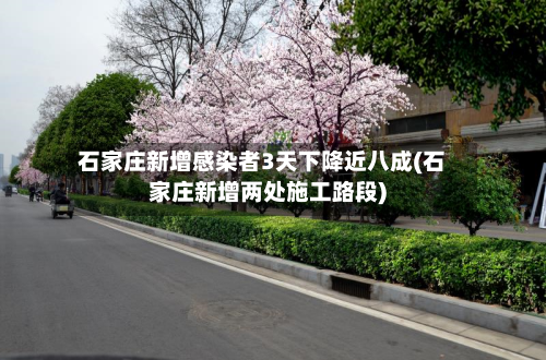 石家庄新增感染者3天下降近八成(石家庄新增两处施工路段)
