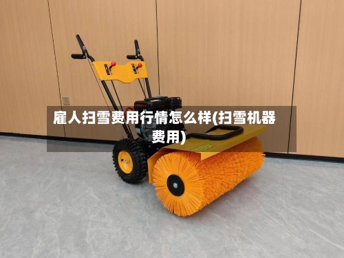 雇人扫雪费用行情怎么样(扫雪机器费用)-第3张图片