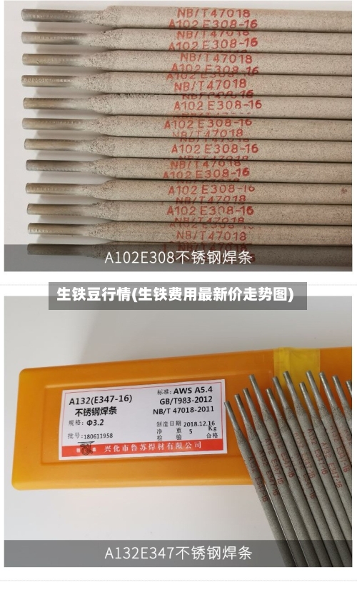 生铁豆行情(生铁费用最新价走势图)