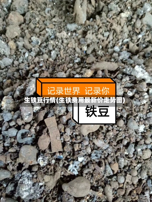 生铁豆行情(生铁费用最新价走势图)-第3张图片