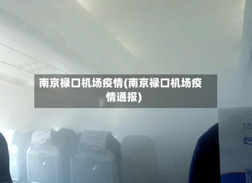 南京禄口机场疫情(南京禄口机场疫情通报)