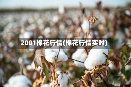 2001棉花行情(棉花行情实时)-第2张图片