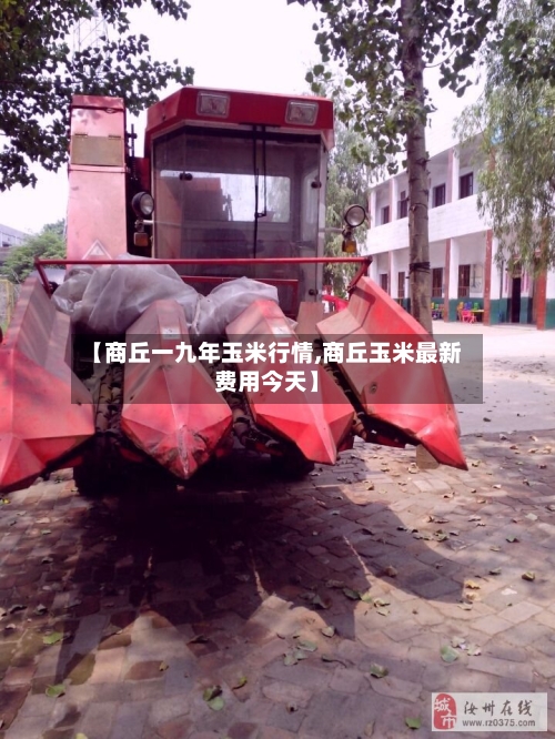 【商丘一九年玉米行情,商丘玉米最新费用今天】