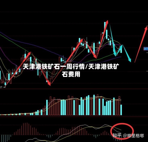 天津港铁矿石一周行情/天津港铁矿石费用