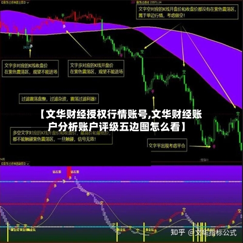 【文华财经授权行情账号,文华财经账户分析账户评级五边图怎么看】-第3张图片