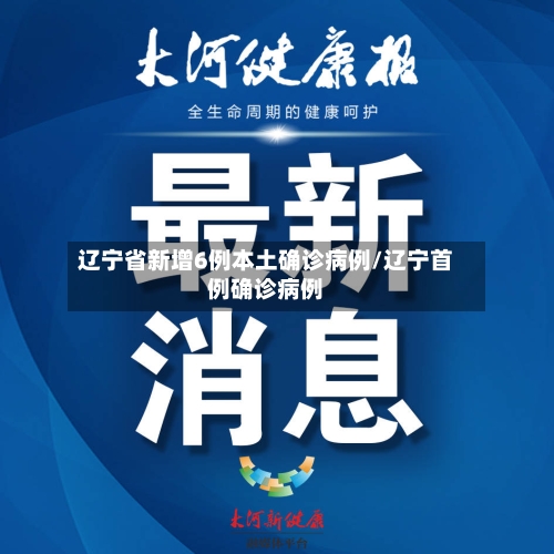 辽宁省新增6例本土确诊病例/辽宁首例确诊病例-第2张图片