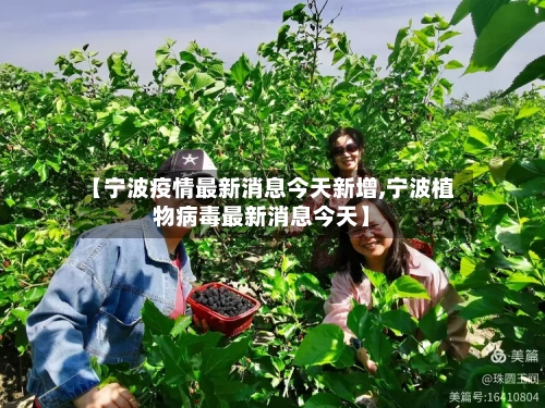 【宁波疫情最新消息今天新增,宁波植物病毒最新消息今天】