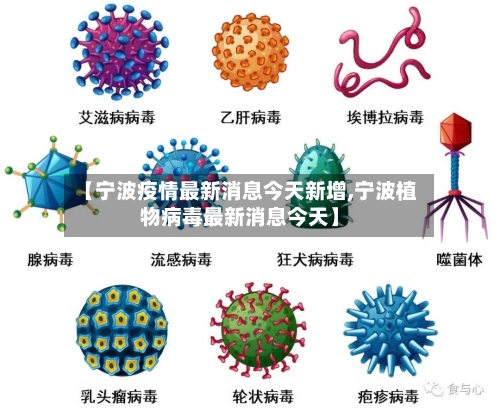 【宁波疫情最新消息今天新增,宁波植物病毒最新消息今天】-第2张图片