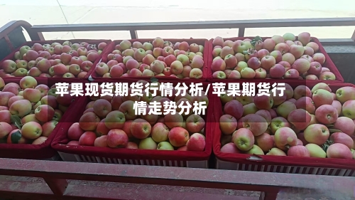 苹果现货期货行情分析/苹果期货行情走势分析-第2张图片