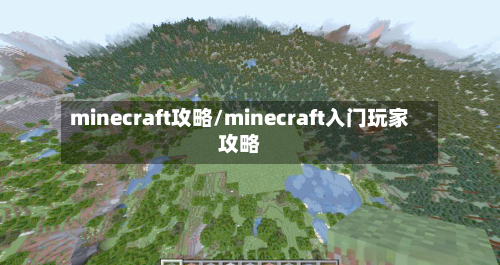 minecraft攻略/minecraft入门玩家攻略-第3张图片