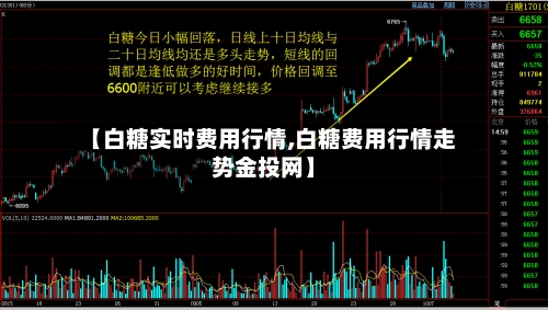 【白糖实时费用行情,白糖费用行情走势金投网】