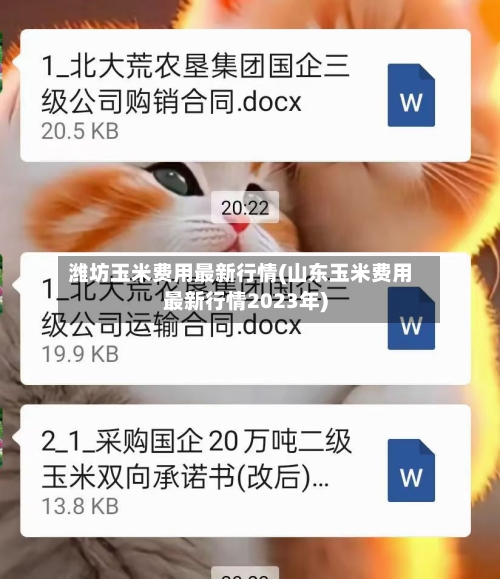 潍坊玉米费用最新行情(山东玉米费用最新行情2023年)-第2张图片