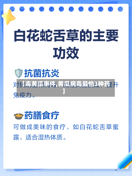 【毒黄瓜事件,黄瓜病毒最怕3种药】