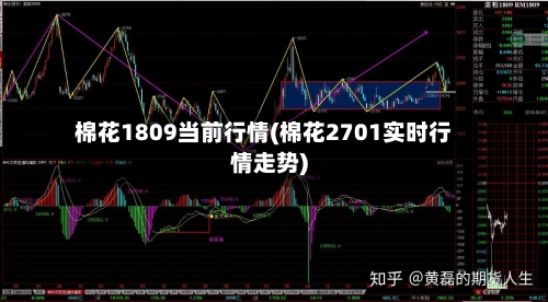 棉花1809当前行情(棉花2701实时行情走势)