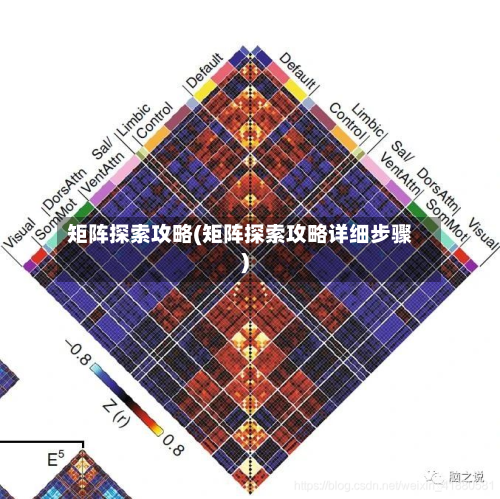 矩阵探索攻略(矩阵探索攻略详细步骤)