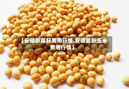 【安徽新菜籽费用行情,安徽最新玉米费用行情】
