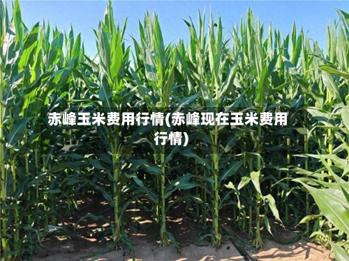 赤峰玉米费用行情(赤峰现在玉米费用行情)