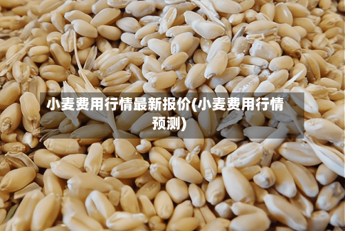小麦费用行情最新报价(小麦费用行情预测)-第2张图片