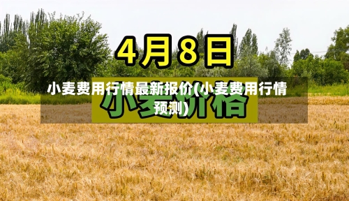 小麦费用行情最新报价(小麦费用行情预测)-第3张图片
