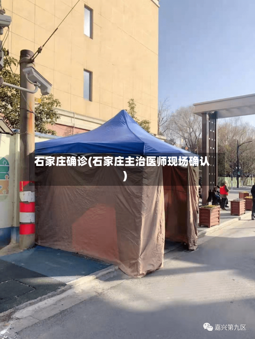 石家庄确诊(石家庄主治医师现场确认)-第3张图片
