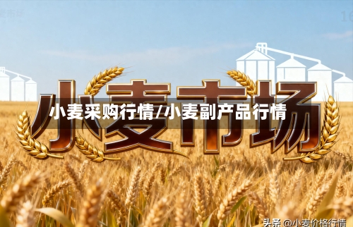 小麦采购行情/小麦副产品行情-第2张图片