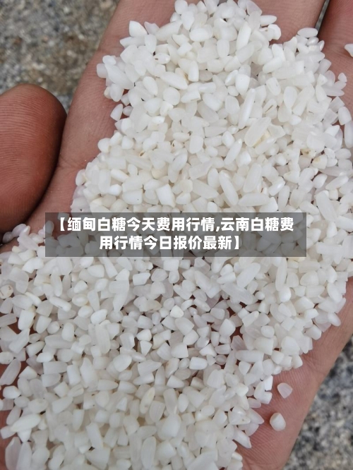 【缅甸白糖今天费用行情,云南白糖费用行情今日报价最新】