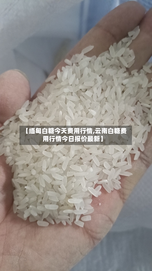 【缅甸白糖今天费用行情,云南白糖费用行情今日报价最新】-第3张图片