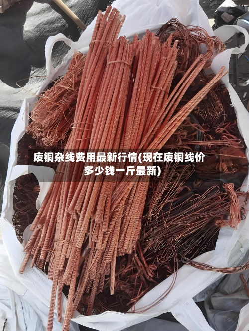 废铜杂线费用最新行情(现在废铜线价多少钱一斤最新)-第2张图片