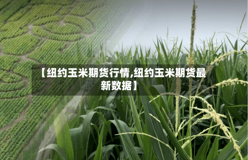 【纽约玉米期货行情,纽约玉米期货最新数据】-第3张图片