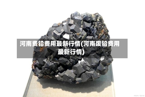 河南费铅费用最新行情(河南废铅费用最新行情)