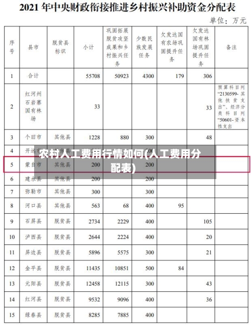 农村人工费用行情如何(人工费用分配表)