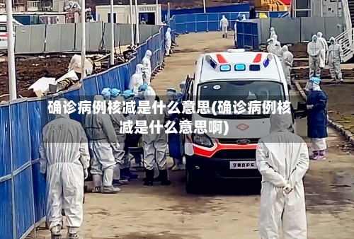 确诊病例核减是什么意思(确诊病例核减是什么意思啊)-第3张图片