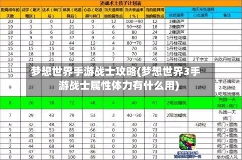梦想世界手游战士攻略(梦想世界3手游战士属性体力有什么用)
