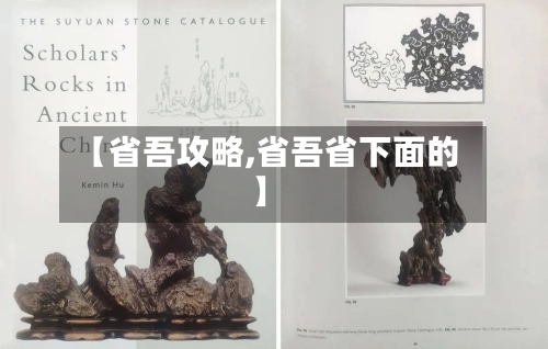 【省吾攻略,省吾省下面的】-第2张图片
