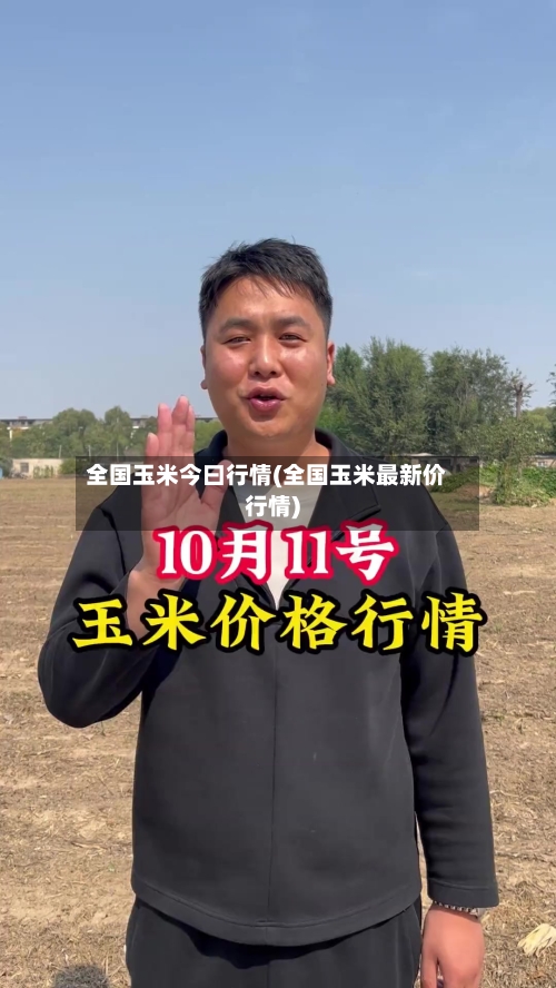 全国玉米今曰行情(全国玉米最新价行情)-第2张图片
