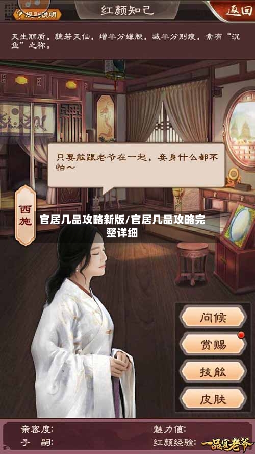 官居几品攻略新版/官居几品攻略完整详细-第2张图片