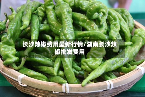 长沙辣椒费用最新行情/湖南长沙辣椒批发费用