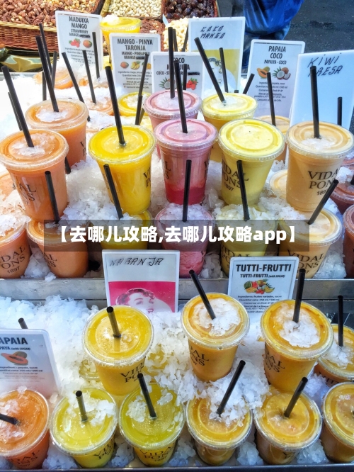 【去哪儿攻略,去哪儿攻略app】-第2张图片