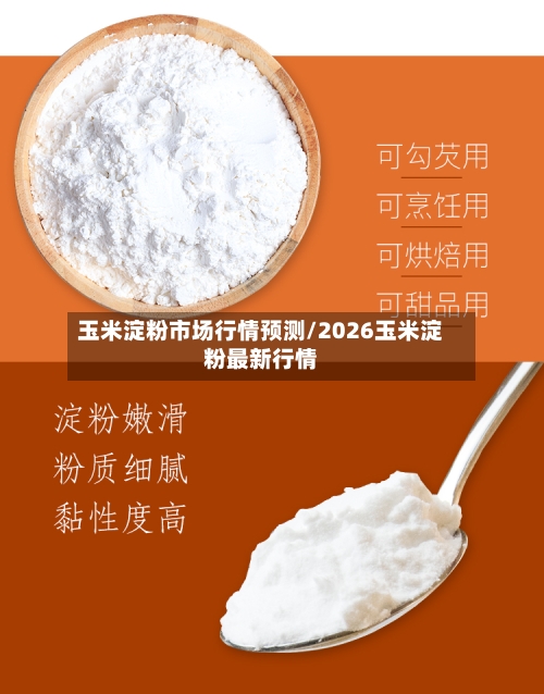 玉米淀粉市场行情预测/2026玉米淀粉最新行情