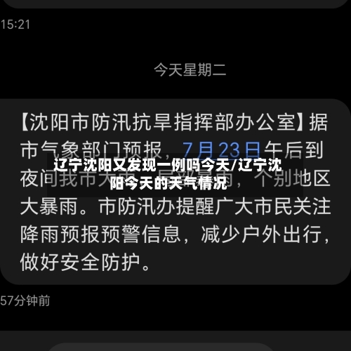 辽宁沈阳又发现一例吗今天/辽宁沈阳今天的天气情况-第2张图片