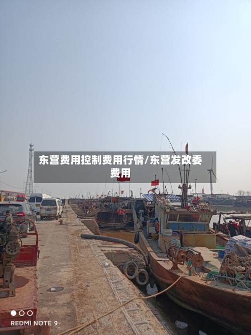 东营费用控制费用行情/东营发改委费用-第3张图片