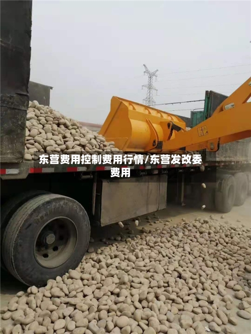 东营费用控制费用行情/东营发改委费用-第2张图片