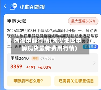 两湖甲醇行情(两湖地区甲醇现货最新费用行情)