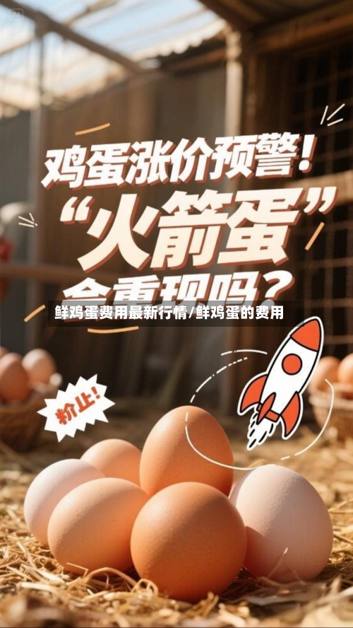 鲜鸡蛋费用最新行情/鲜鸡蛋的费用-第3张图片